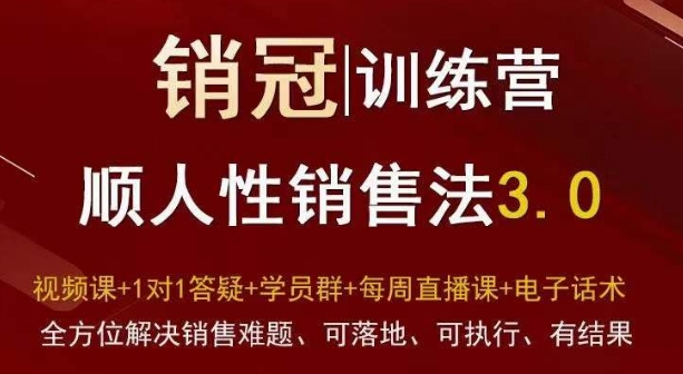 爆款！销冠训练营3.0之顺人性销售法，全方位解决销售难题、可落地、可执行、有结果-178分享