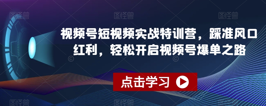 视频号短视频实战特训营，踩准风口红利，轻松开启视频号爆单之路-178分享