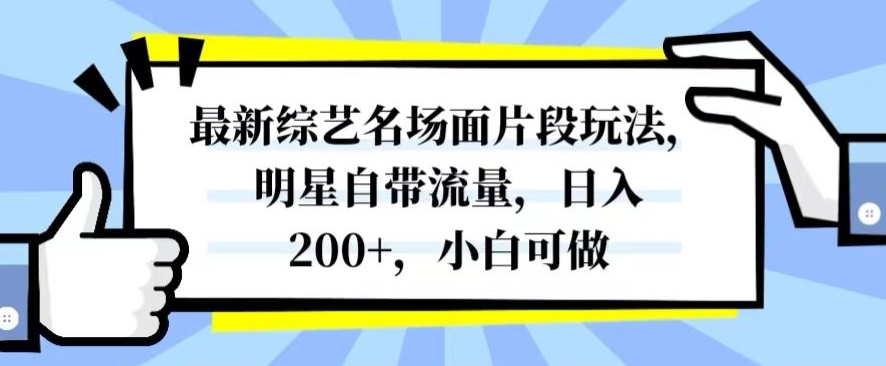 最新综艺名场面片段玩法，明星自带流量，日入200+，小白可做【揭秘】-178分享