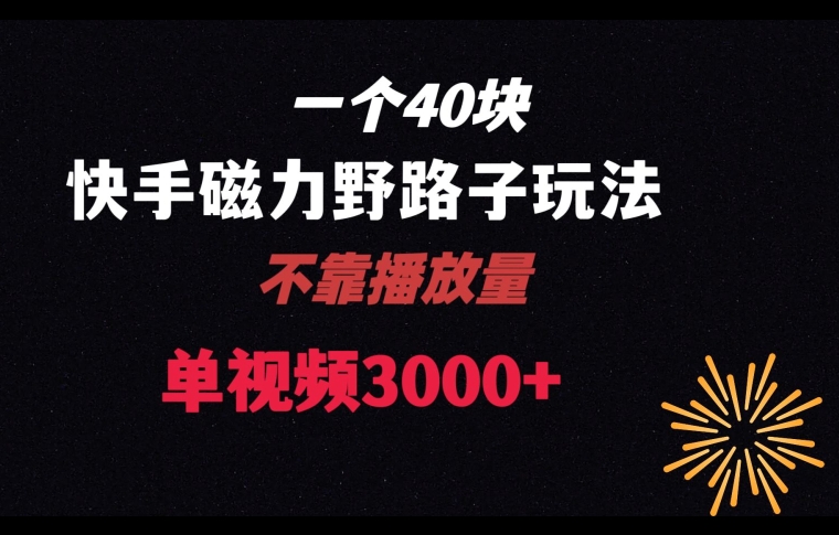 一个40块，快手联合美团磁力新玩法，无视机制野路子玩法，单视频收益4位数【揭秘】-178分享