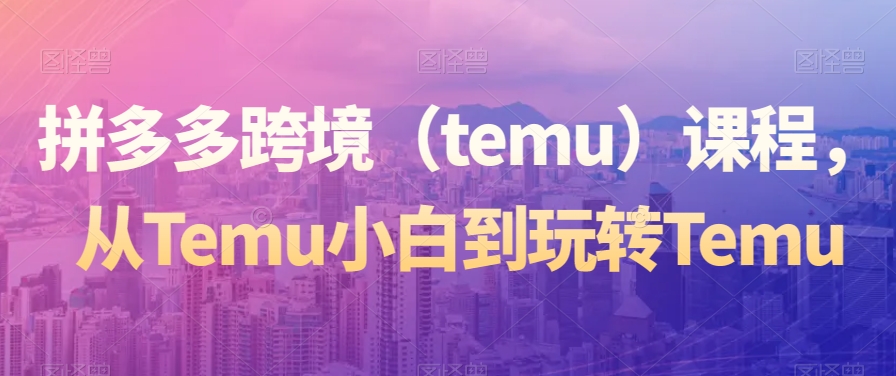 拼多多跨境（temu）课程，从Temu小白到玩转Temu-178分享