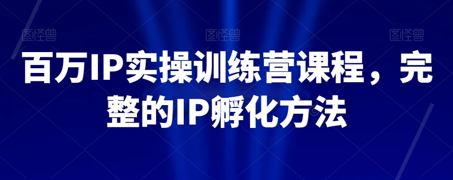 百万IP实操训练营课程，完整的IP孵化方法-178分享