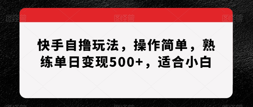 快手自撸玩法，操作简单，熟练单日变现500+，适合小白【揭秘】-178分享