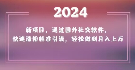 2024新项目，通过国外社交软件，快速涨粉精准引流，轻松做到月入上万【揭秘】-178分享