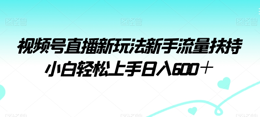 视频号直播新玩法新手流量扶持小白轻松上手日入600＋【揭秘】-178分享