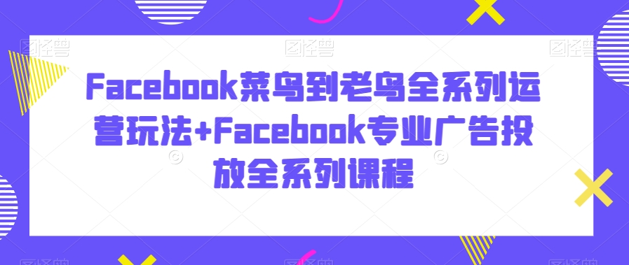 Facebook菜鸟到老鸟全系列运营玩法+Facebook专业广告投放全系列课程-178分享