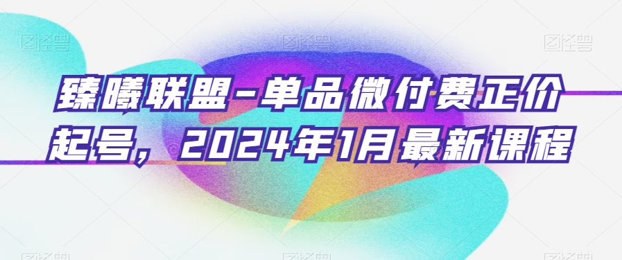 臻曦联盟-单品微付费正价起号，2024年1月最新课程-178分享