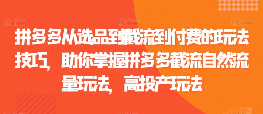 拼多多从选品到截流到付费的玩法技巧，助你掌握拼多多截流自然流量玩法，高投产玩法-178分享