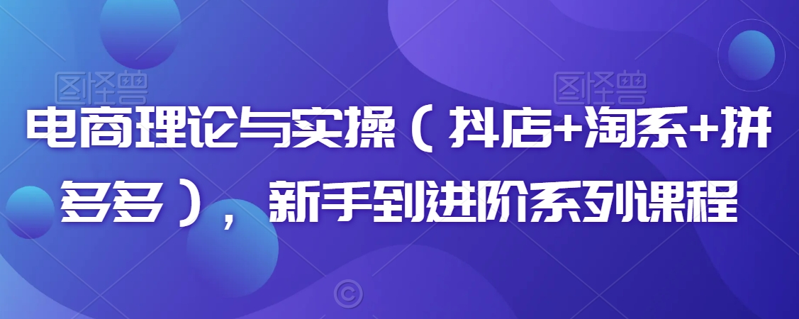 电商理论与实操（抖店+淘系+拼多多），新手到进阶系列课程-178分享