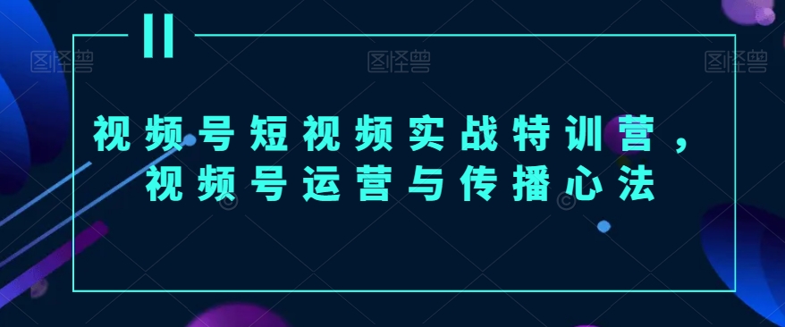 视频号短视频实战特训营，视频号运营与传播心法-178分享