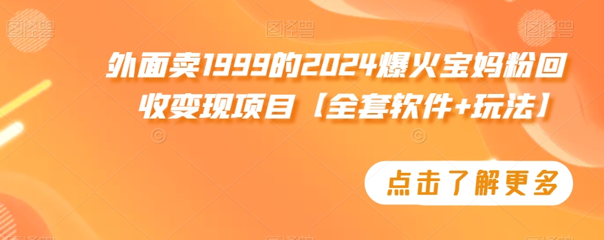 外面卖1999的2024爆火宝妈粉回收变现项目【全套软件+玩法】【揭秘】-178分享