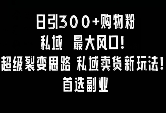 日引300+购物粉，超级裂变思路，私域卖货新玩法，小红书首选副业【揭秘】-178分享