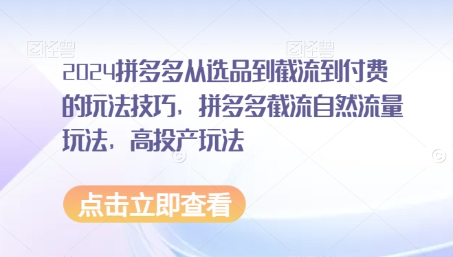 2024拼多多从选品到截流到付费的玩法技巧，拼多多截流自然流量玩法，高投产玩法-178分享