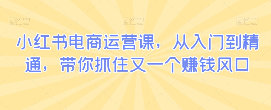 小红书电商运营课，从入门到精通，带你抓住又一个赚钱风口-178分享