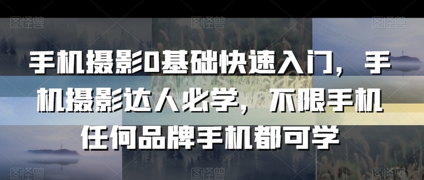 手机摄影0基础快速入门，手机摄影达人必学，不限手机任何品牌手机都可学-178分享