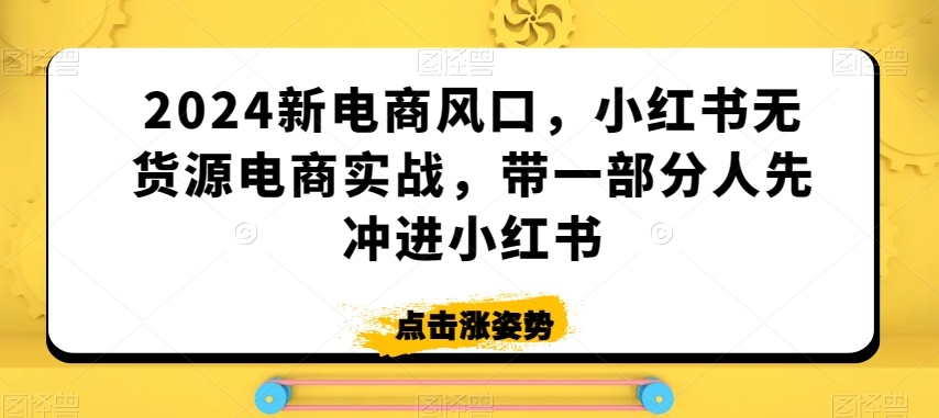 2024新电商风口，小红书无货源电商实战，带一部分人先冲进小红书-178分享