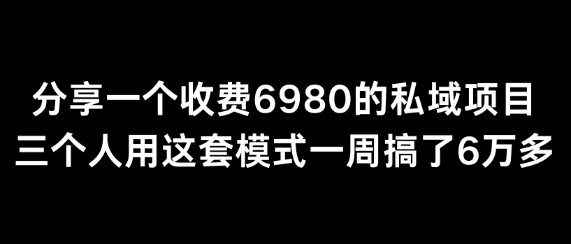 分享一个外面卖6980的私域项目三个人用这套模式一周搞了6万多【揭秘】-178分享