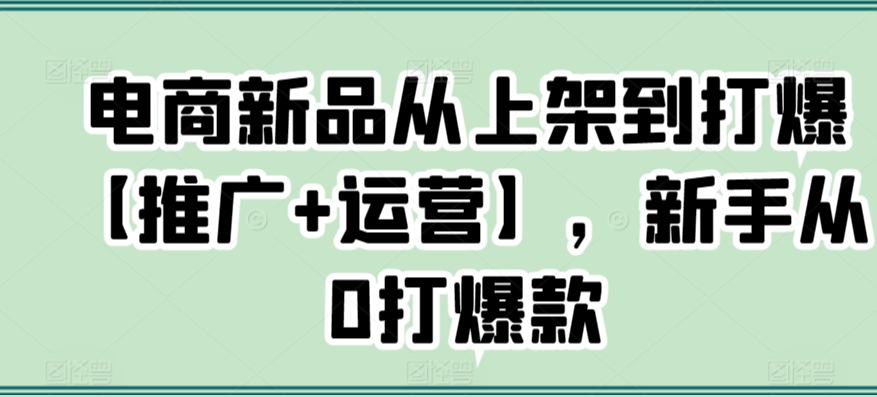 电商新品从上架到打爆【推广+运营】，新手从0打爆款-178分享