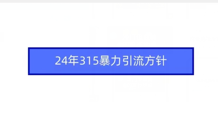 24年315暴力引流方针-178分享