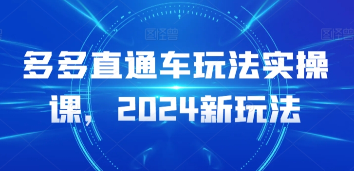 多多直通车玩法实操课，2024新玩法-178分享