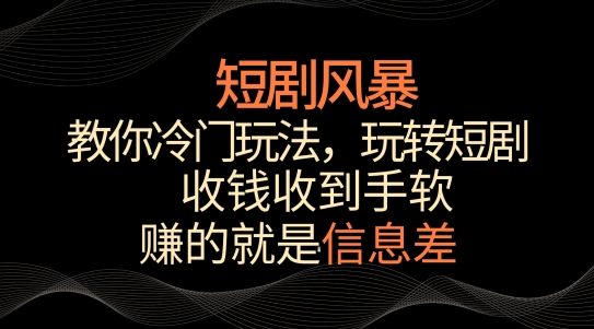 短剧风暴，教你冷门玩法，玩转短剧，收钱收到手软【揭秘】-178分享