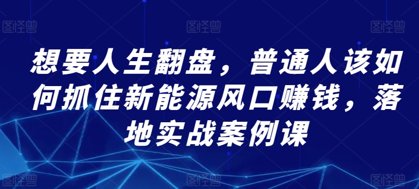 想要人生翻盘，普通人该如何抓住新能源风口赚钱，落地实战案例课-178分享