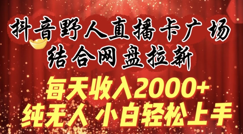 每天收入2000+，抖音野人直播卡广场，结合网盘拉新，纯无人，小白轻松上手【揭秘】-178分享