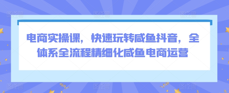 电商实操课，快速玩转咸鱼抖音，全体系全流程精细化咸鱼电商运营-178分享