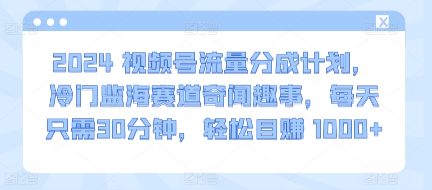 2024视频号流量分成计划，冷门监海赛道奇闻趣事，每天只需30分钟，轻松目赚 1000+【揭秘】-178分享