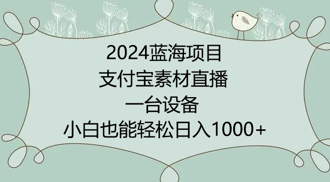 2024年蓝海项目，支付宝素材直播，无需出境，小白也能日入1000+ ，实操教程【揭秘】-178分享