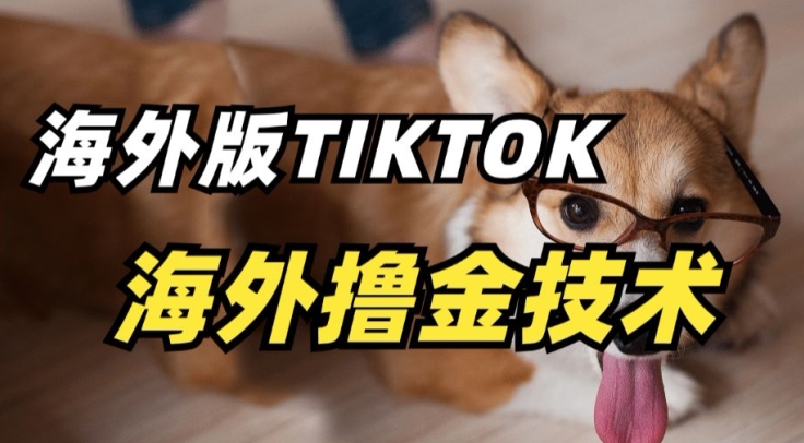 抖音海外版tiktok撸金技术，这个风口行业，赚钱真的不难【揭秘】-178分享