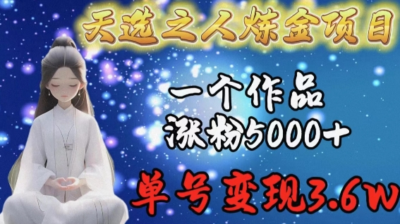 天选之人炼金项目，一个作品涨粉5000+，单号变现3.6w【揭秘】-旺仔资源库