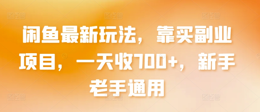 闲鱼最新玩法，靠买副业项目，一天收700+，新手老手通用【揭秘】-178分享