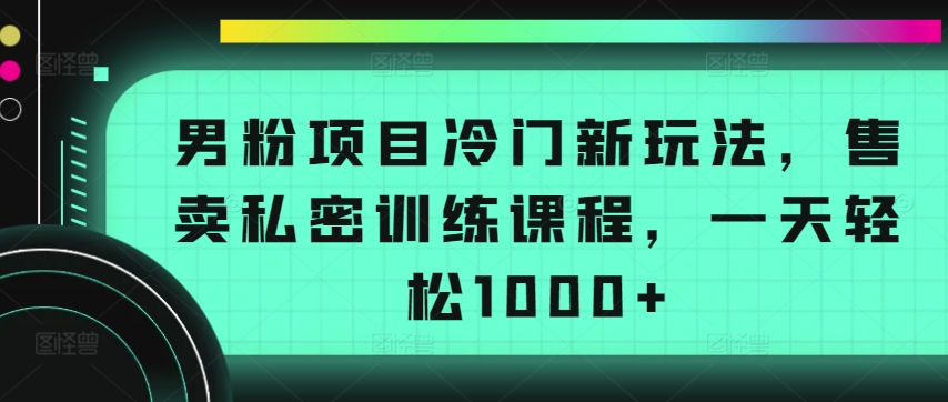 男粉项目冷门新玩法，售卖私密训练课程，一天轻松1000+【揭秘】-178分享