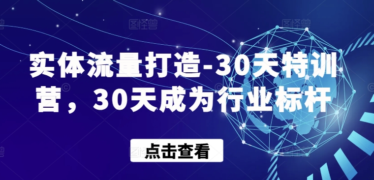 实体流量打造-30天特训营，30天成为行业标杆-178分享