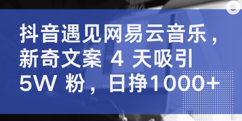 抖音遇见网易云音乐，新奇文案 4 天吸引 5W 粉，日挣1000+【揭秘】-178分享