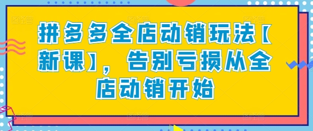 拼多多全店动销玩法【新课】，告别亏损从全店动销开始-178分享