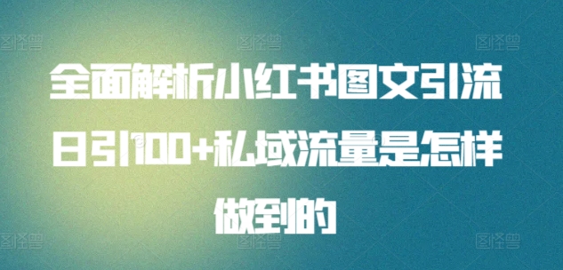 全面解析小红书图文引流日引100+私域流量是怎样做到的【揭秘】-178分享