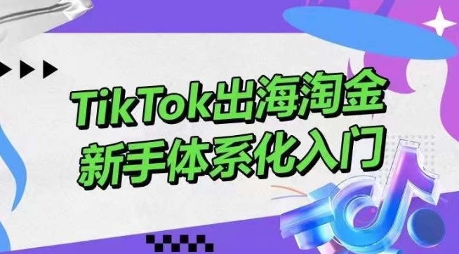 TikTok出海淘金，新手体系化入门，零基础快速入门，掌握短视频、直播带货等引流到变现的知识-178分享