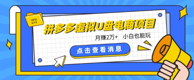 拼多多虚拟U盘电商红利项目：月赚2万+，新手小白也能玩-178分享