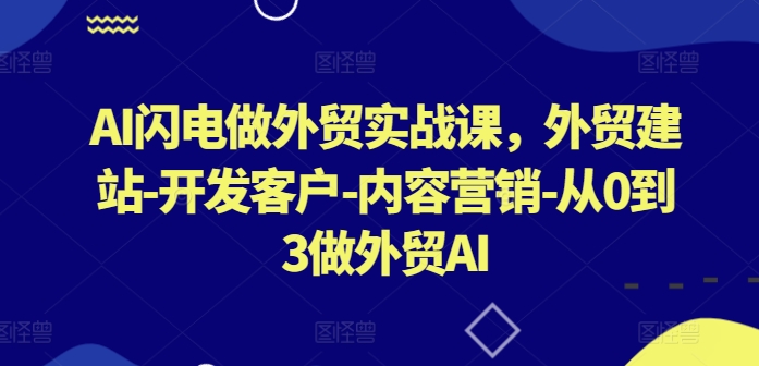 AI闪电做外贸实战课，​外贸建站-开发客户-内容营销-从0到3做外贸AI-178分享