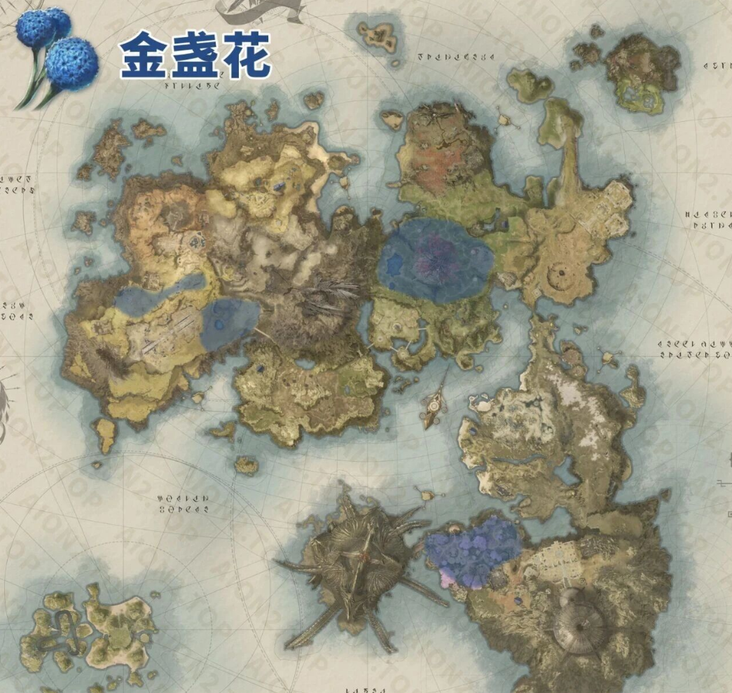 永恒之塔2攻略：天族&魔族采集物分布图